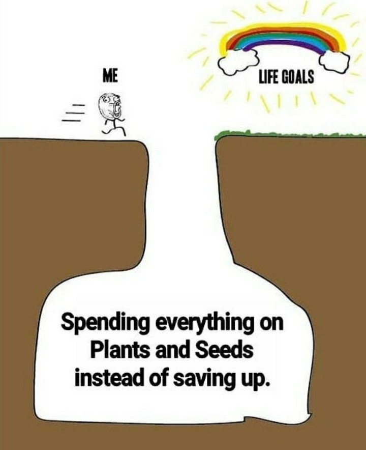 funny garden memes - cartoon - Me Life Goals Spending everything on Plants and Seeds instead of saving up.