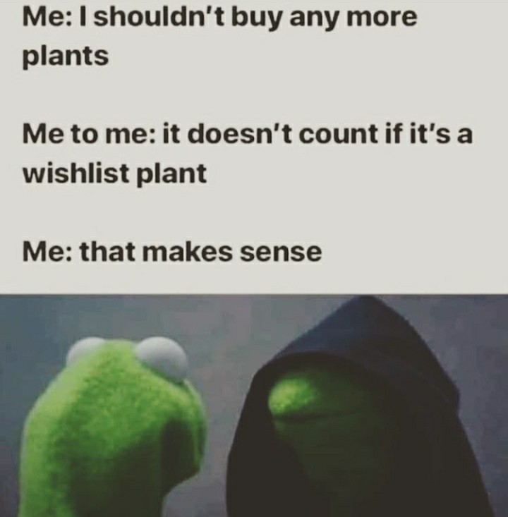 funny garden memes - whisky story - Me I shouldn't buy any more plants Me to me it doesn't count if it's a wishlist plant Me that makes sense