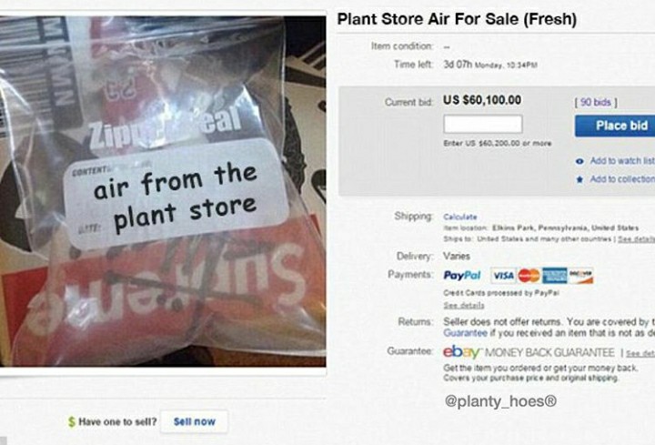 funny garden memes - Plant Store Air For Sale Fresh Item condition Time left 34 07h Monday, 1934 Cmn 62 Current bid Us $60,100.00 Zippeal 190 bids Place bid Ester Us $60.200.00 de mere Content Add to watch list Add to collection air from the plant store M
