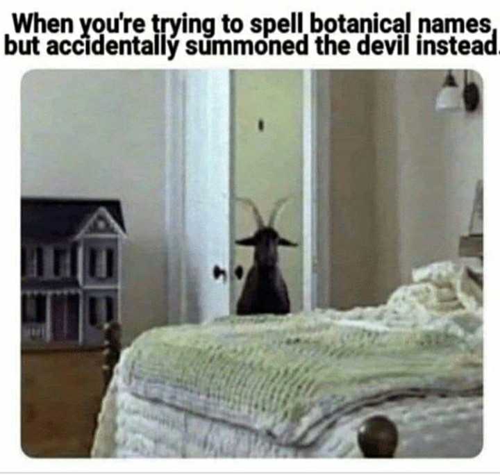 funny garden memes - summon der teufel - When you're trying to spell botanical names, but accidentally summoned the devil instead.