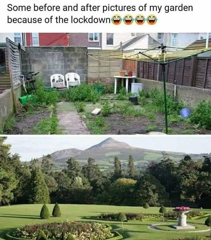 funny garden memes - garden before and after quarantine - Some before and after pictures of my garden because of the lockdown