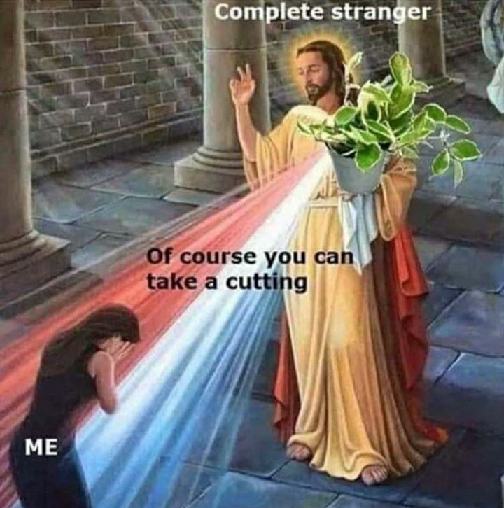 funny garden memes - jesus blessing meme - Complete stranger Of course you can take a cutting Me