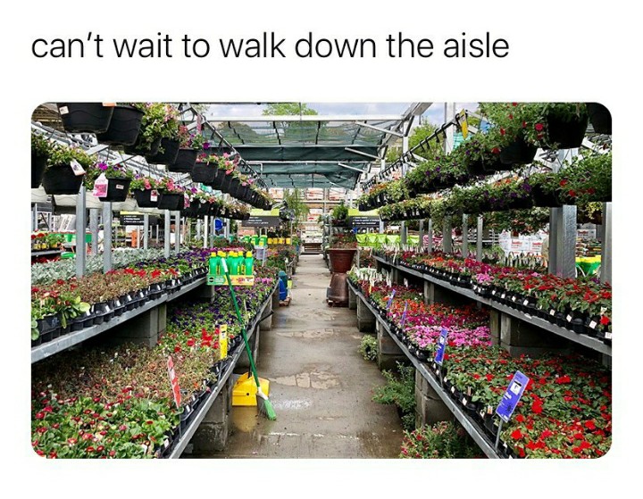 funny garden memes - produce - can't wait to walk down the aisle ang