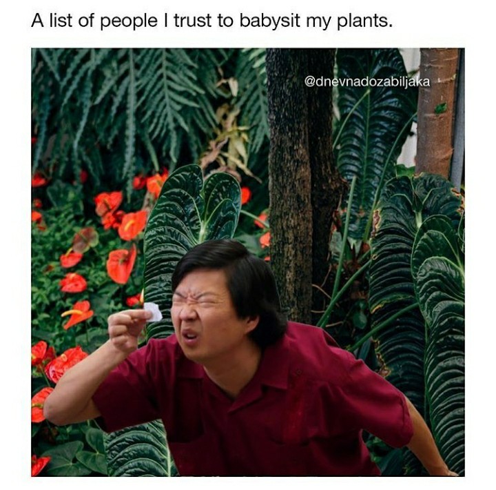 funny garden memes - tree - A list of people I trust to babysit my plants.
