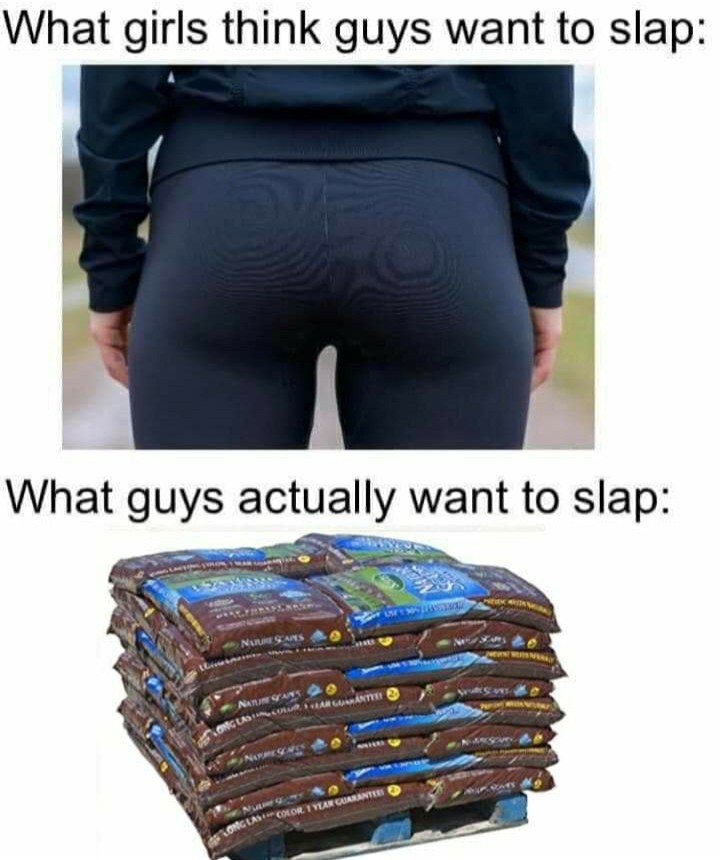 funny garden memes - waist - What girls think guys want to slap What guys actually want to slap Us Nuume Sans Argurantes Conclas Color. I Vuan Guarantees