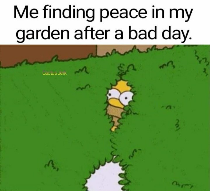 funny garden memes - fauna - Me finding peace in my garden after a bad day. vacus veik mg