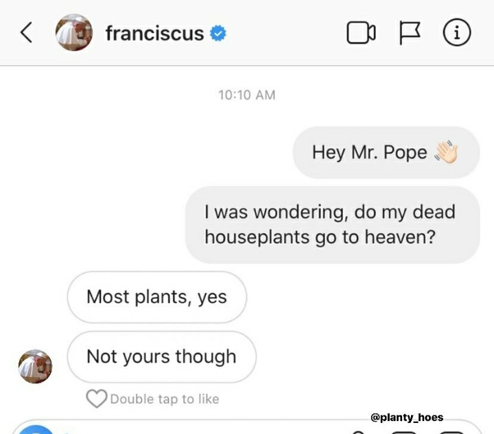 funny garden memes - website - franciscus Bi Hey Mr. Pope I was wondering, do my dead houseplants go to heaven? Most plants, yes Not yours though Double tap to