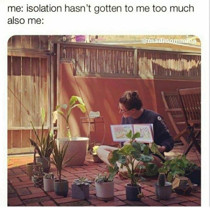funny garden memes - backyard - me isolation hasn't gotten to me too much also me Sen
