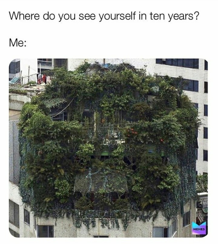 funny garden memes - illgal rooftop garden china - Where do you see yourself in ten years? Me Memes