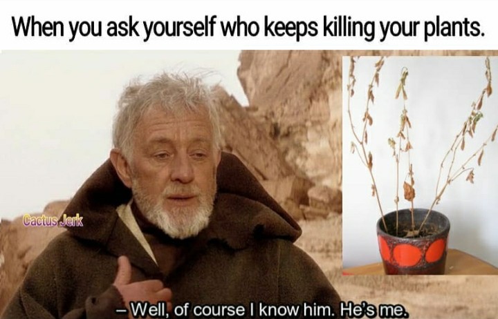 funny garden memes - course i know him he's me meme - When you ask yourself who keeps killing your plants. Cactus Jerk Well, of course I know him. He's me.