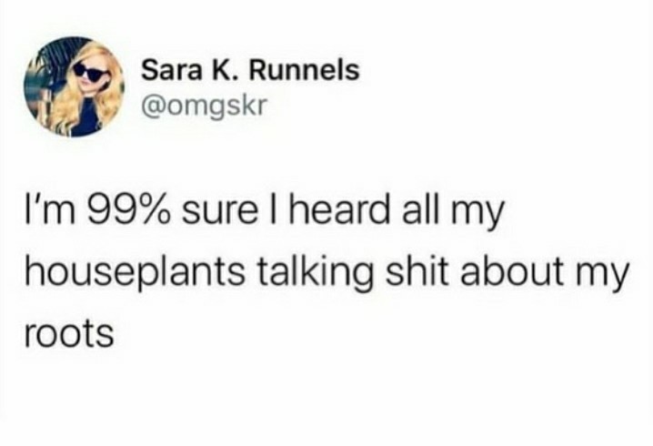 funny garden memes - guy who stole my antidepressants - Sara K. Runnels I'm 99% sure I heard all my houseplants talking shit about my roots