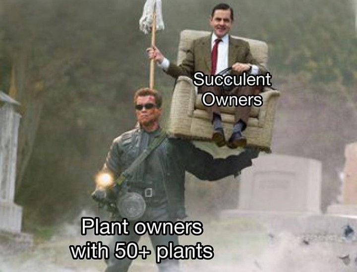 funny garden memes - terminator carrying mr bean - Succulent Owners Plant owners with 50 plants