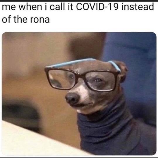 hilarious funny meme - me when i call it Covid19 instead of the rona