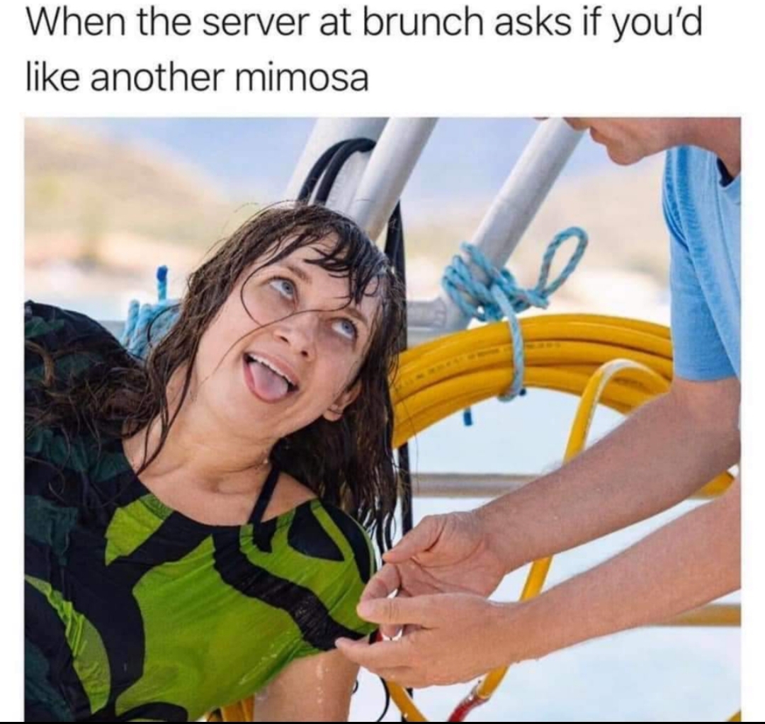 brunch mimosas meme - When the server at brunch asks if you'd another mimosa