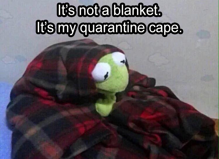 plush - It's not a blanket. It's my quarantine cape.