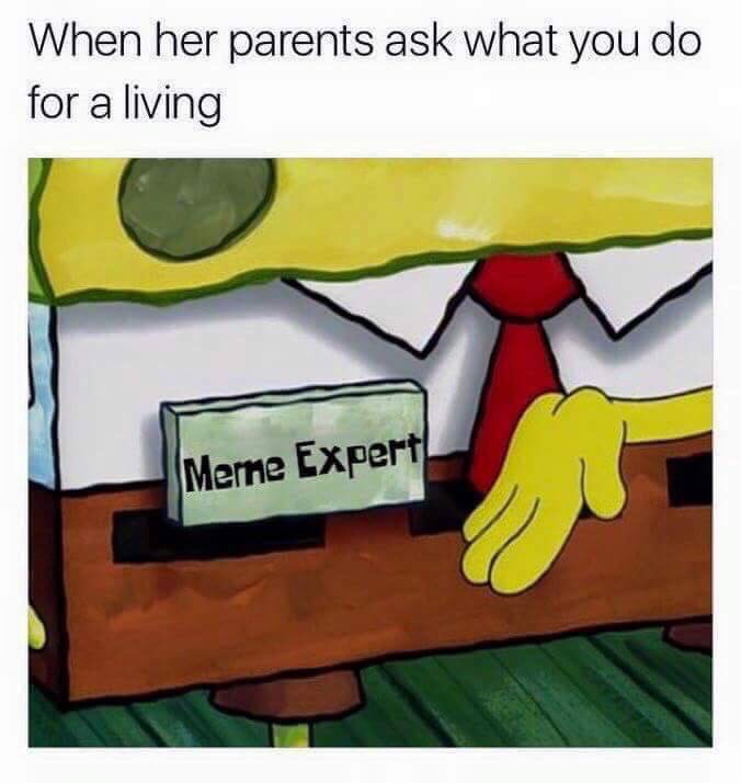 meme expert - When her parents ask what you do for a living Merne Expert!