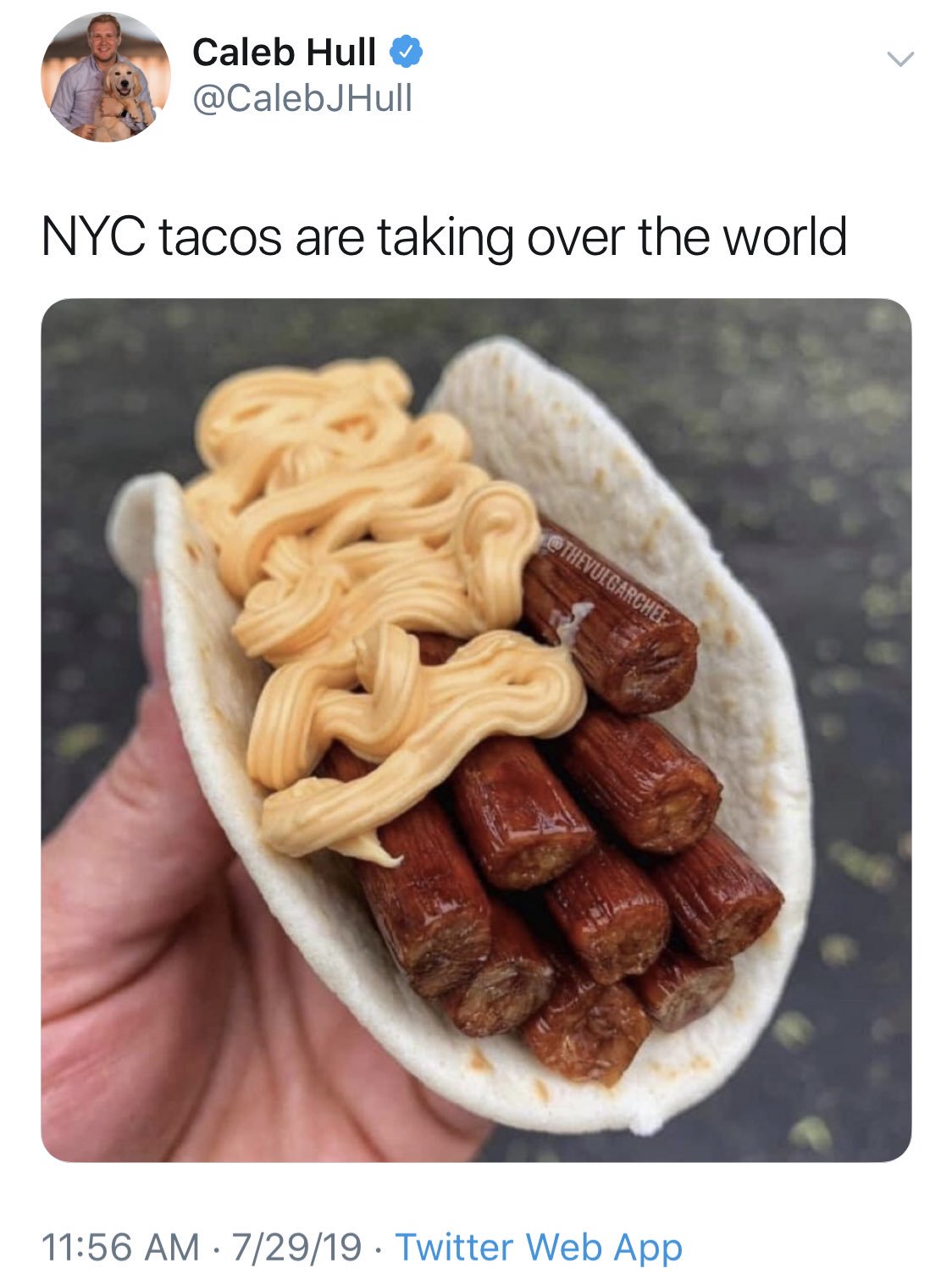 Nyc tacos are taking over the world