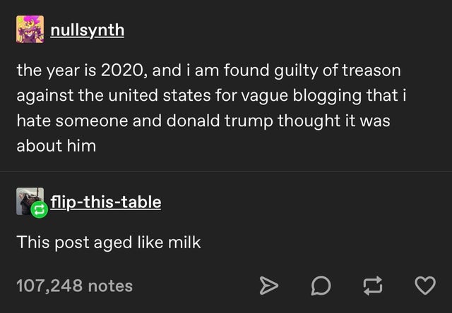 screenshot - nullsynth the year is 2020, and i am found guilty of treason against the united states for vague blogging that i hate someone and donald trump thought it was about him flipthistable This post aged milk 107,248 notes