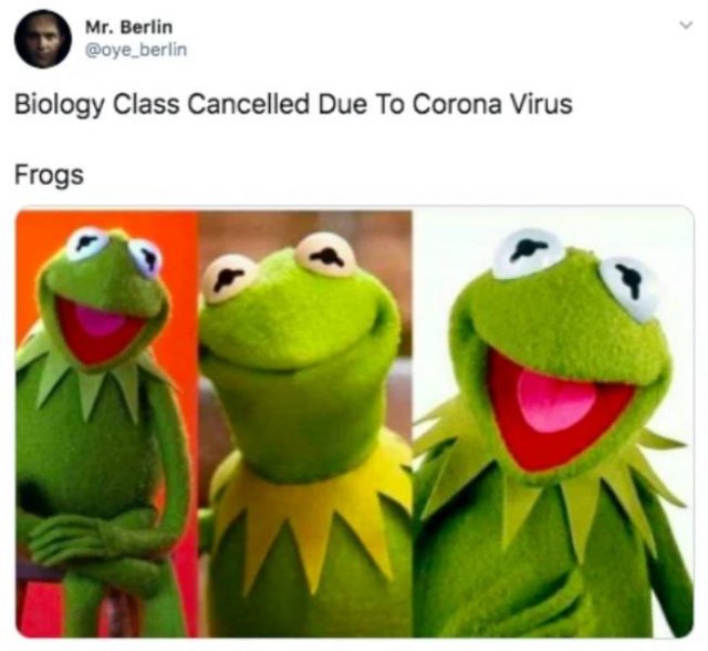 kermit frog - Mr. Berlin Biology Class Cancelled Due To Corona Virus Frogs