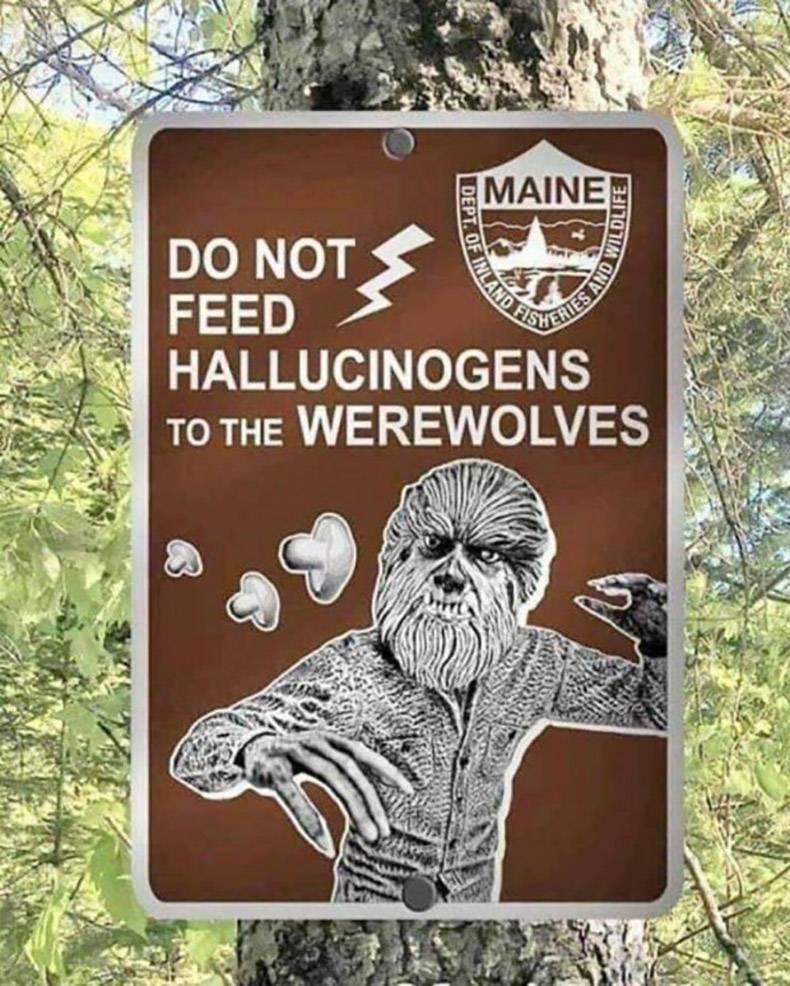 do not feed hallucinogens to the werewolves - Maine Dept. Of 311071M Onts Of Inland Do Not Feed Hallucinogens To The Werewolves