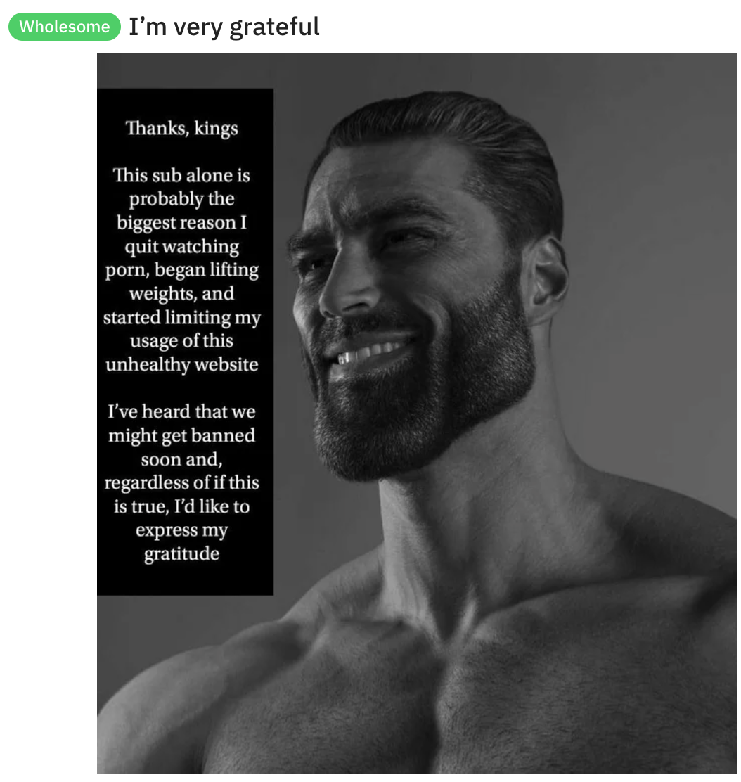 Wholesome I'm very grateful Thanks, kings This sub alone is probably the biggest reason I quit watching porn, began lifting weights, and started limiting my usage of this unhealthy website I've heard that we might get banned soon and, regardless of if thi