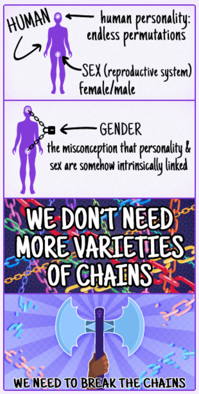 human personality endless permutations Sex reproductive system female male Gender the misconception that personality & Sex are somehow intrinsically linked We Don'T Need More Varieties Of Chains We Need To Break The Chains