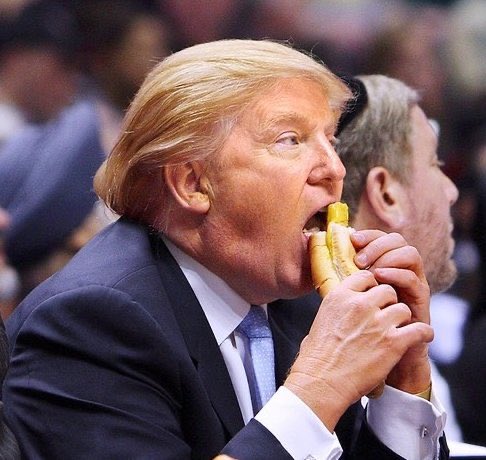trump eating a hot dog