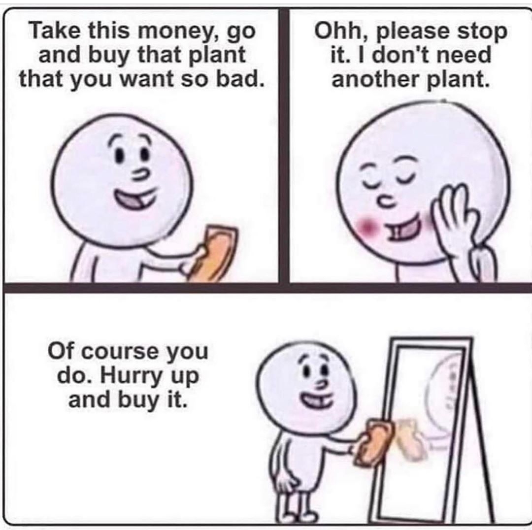 Take this money, go and buy that plant that you want so bad. Ohh, please stop it. I don't need another plant. C Of course you do. Hurry up and buy it.