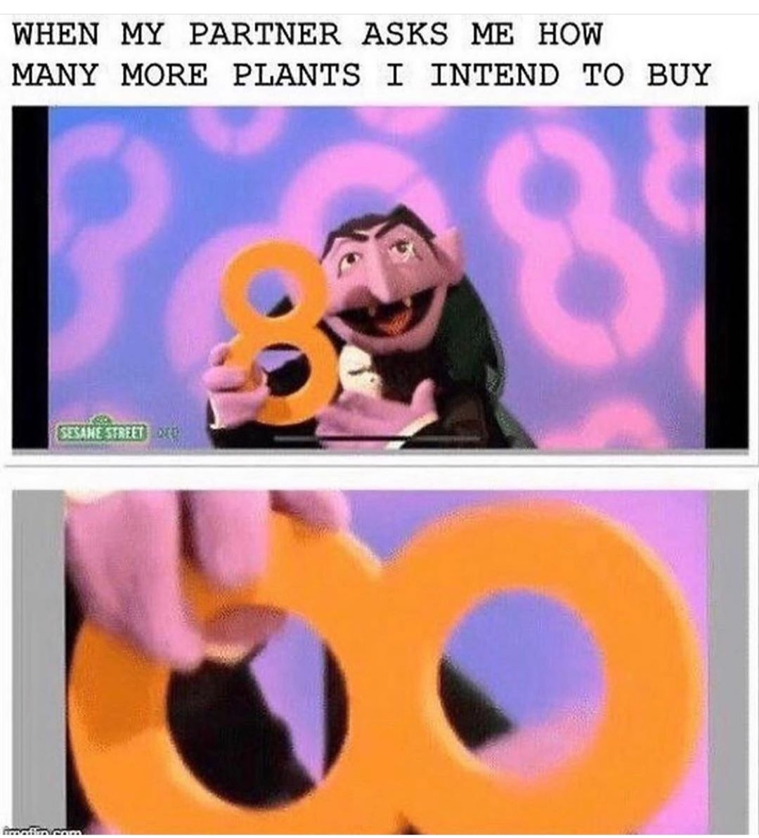 sesame street coronavirus meme - When My Partner Asks Me How Many More Plants I Intend To Buy 8 Sesame Street