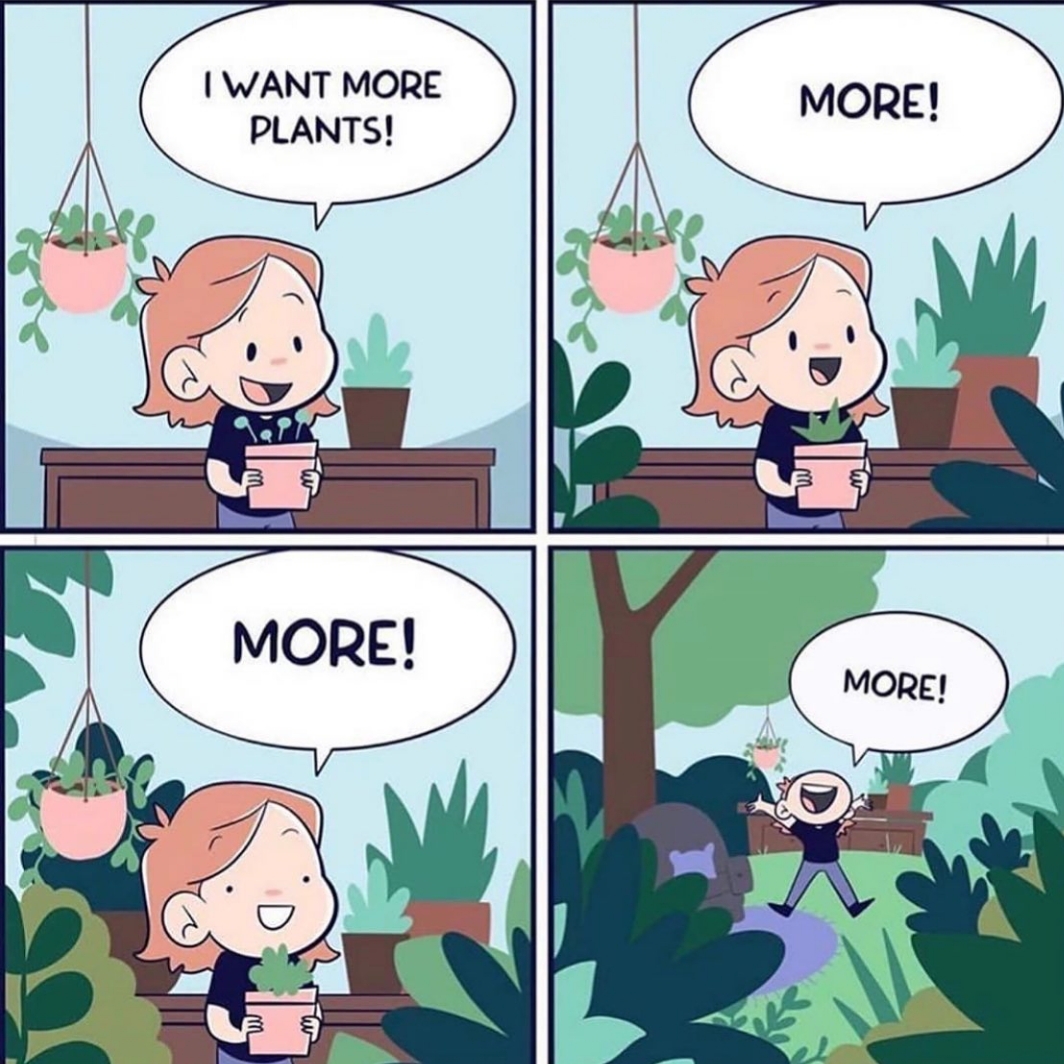 want more plants - I Want More Plants! More! More! More!