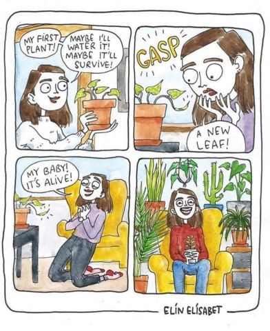 plant comic - My First Maybe I'Ll Plant! Water It Maybe It'Ll Survive! Gasp A New Leaf! My Baby! It'S Alive! Eln Elsabet