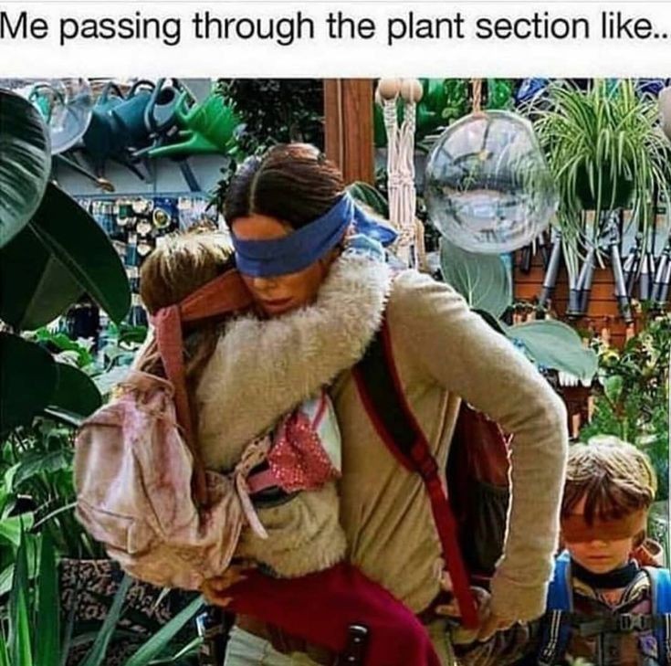 Me passing through the plant section ..