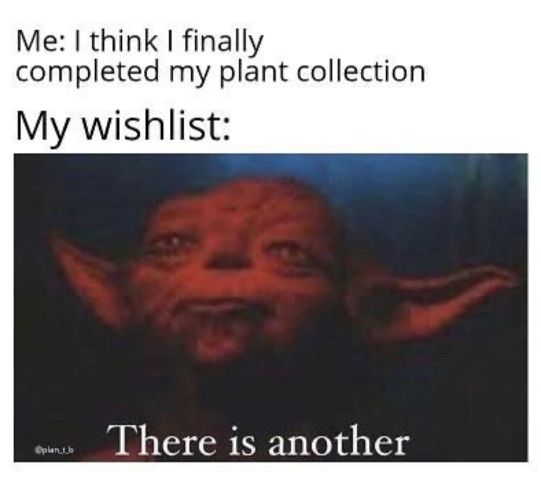 ads memes - Me I think I finally completed my plant collection My wishlist There is another Splant
