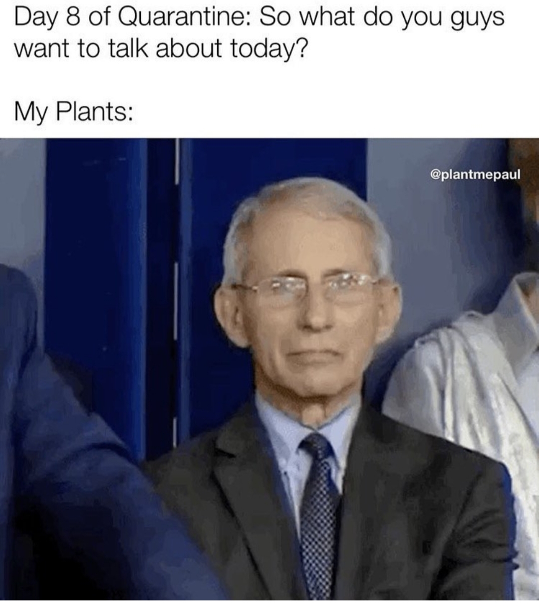 fauci gif - Day 8 of Quarantine So what do you guys want to talk about today? My Plants