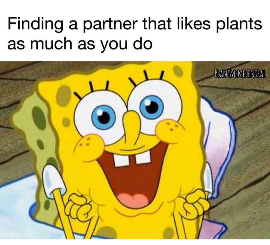 oh panzer of the lake what is your wisdom - Finding a partner that plants as much as you do Planimemecentral