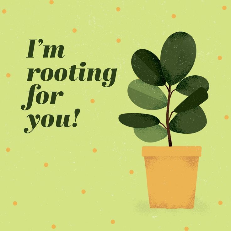 leaf - I'm rooting for you!