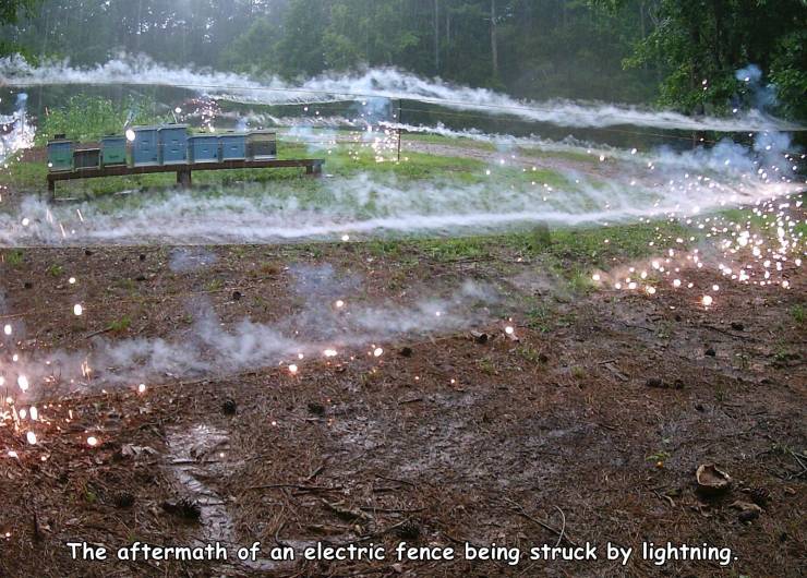 water resources - The aftermath of an electric fence being struck by lightning.