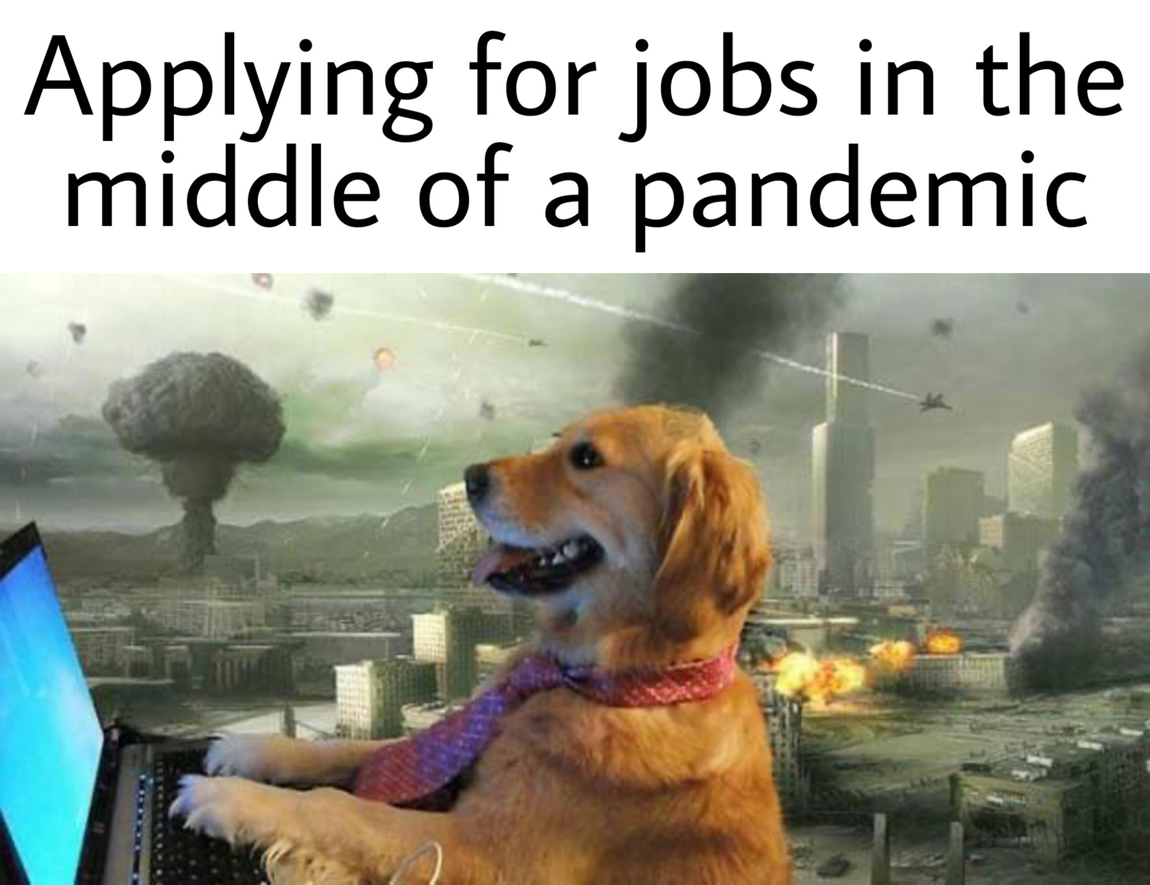 Applying for jobs in the middle of a pandemic