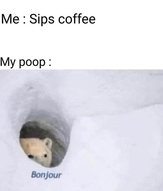 polar bear - Me Sips coffee My poop Bonjour