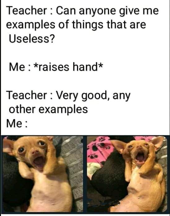 Teacher Can anyone give me examples of things that are Useless? Me raises hand Teacher Very good, any other examples Me