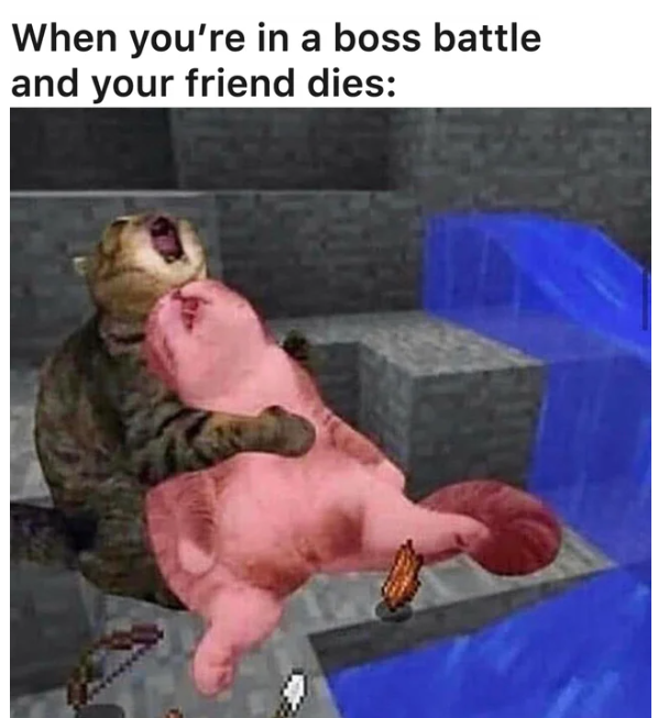When you're in a boss battle and your friend dies