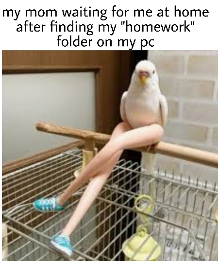 birds with barbie legs - my mom waiting for me at home after finding my homework folder on my pc