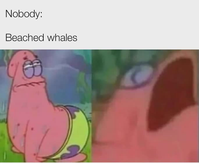 Nobody Beached whales