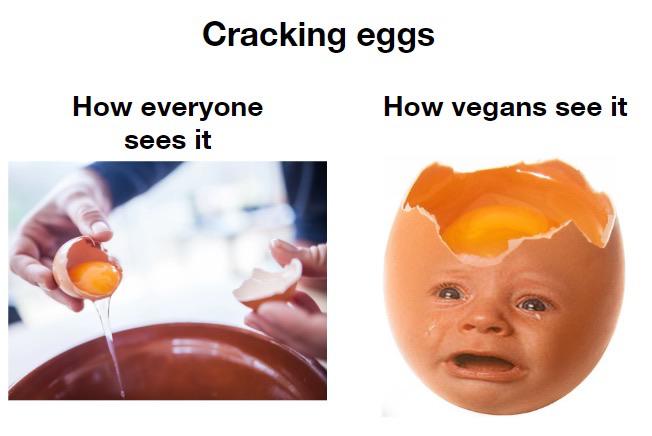 Cracking eggs How everyone How vegans see it sees it