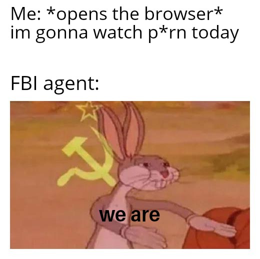 Me opens the browser im gonna watch prn today Fbi agent we are