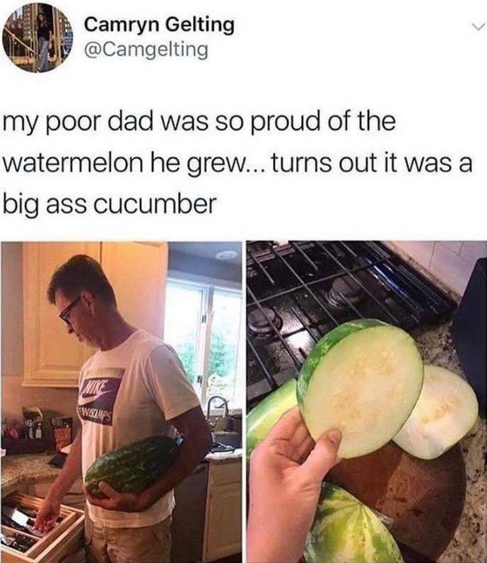 my poor dad was so proud - Camryn Gelting my poor dad was so proud of the watermelon he grew... turns out it was a big ass cucumber Wice Wiscamps