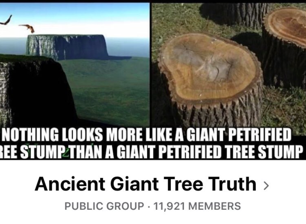 grass - Nothing Looks More A Giant Petrified Bee STUMP_THAN A Giant Petrified Tree Stump Ancient Giant Tree Truth > Public Group 11,921 Members
