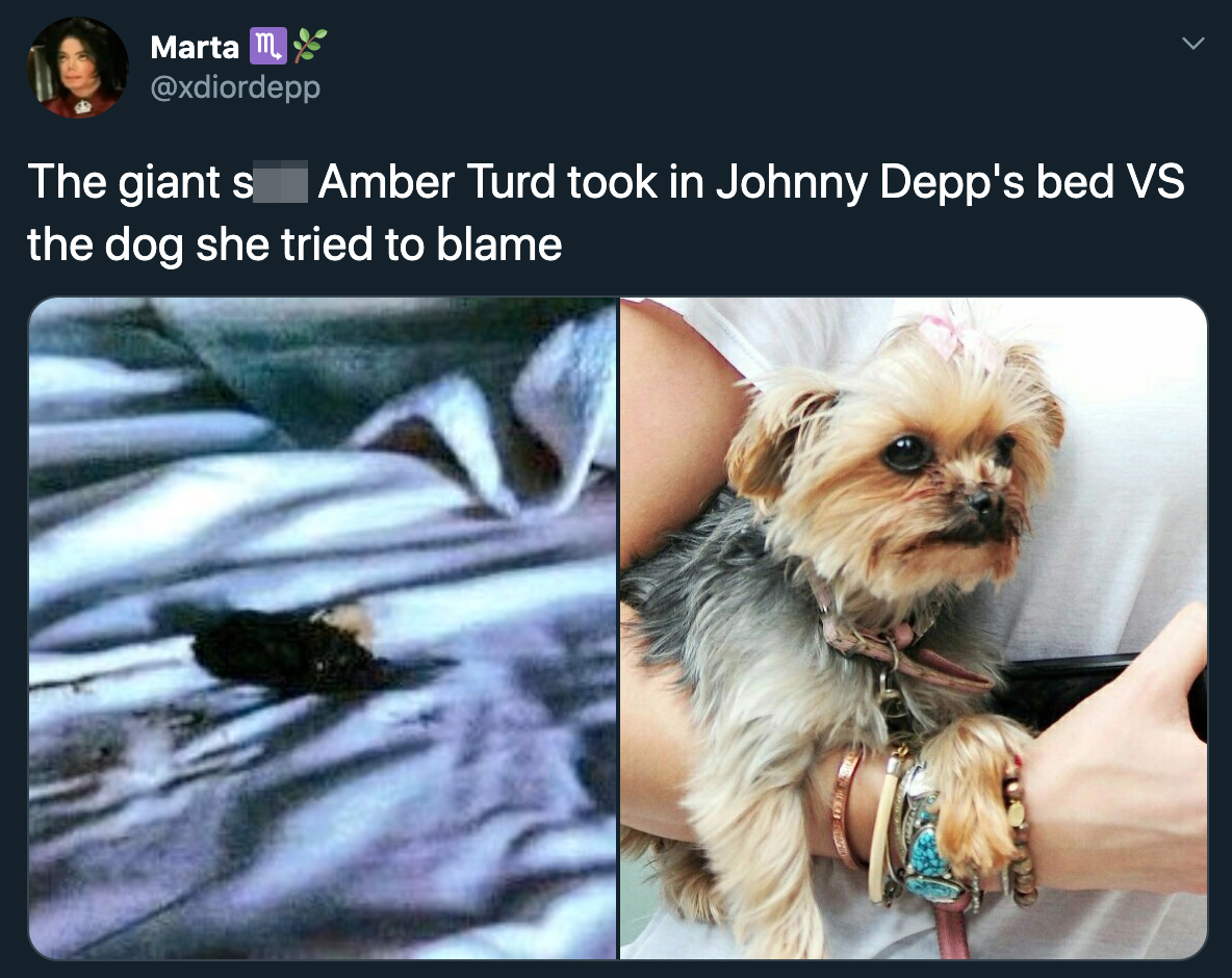 The giant shit Amber Turd took in Johnny Depp's bed Vs the dog she tried to blame