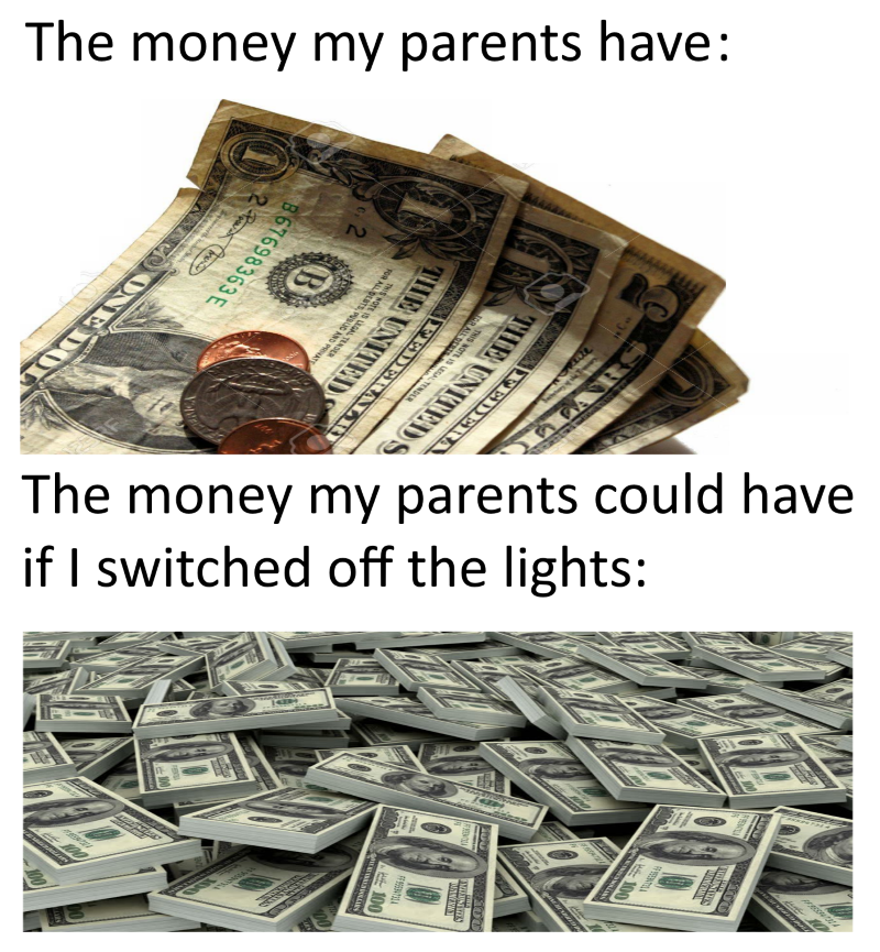 The money my parents have  The money my parents could have if I switched off the lights