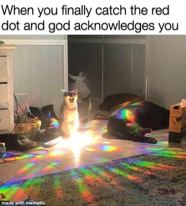 When you finally catch the red dot and god acknowledges you